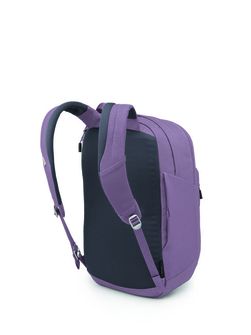 OSPREY mestni nahrbtnik ARCANE XL,  purple dusk heather