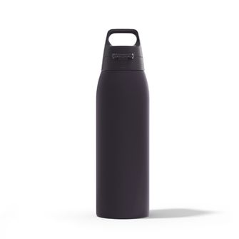 Steklenica SIGG Therm One 1 L Nocturne