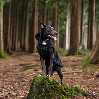 Mountain Paws Pasja pelerina velika