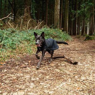 Mountain Paws Pasja pelerina velika